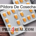 Píldora De Cosecha cialis4